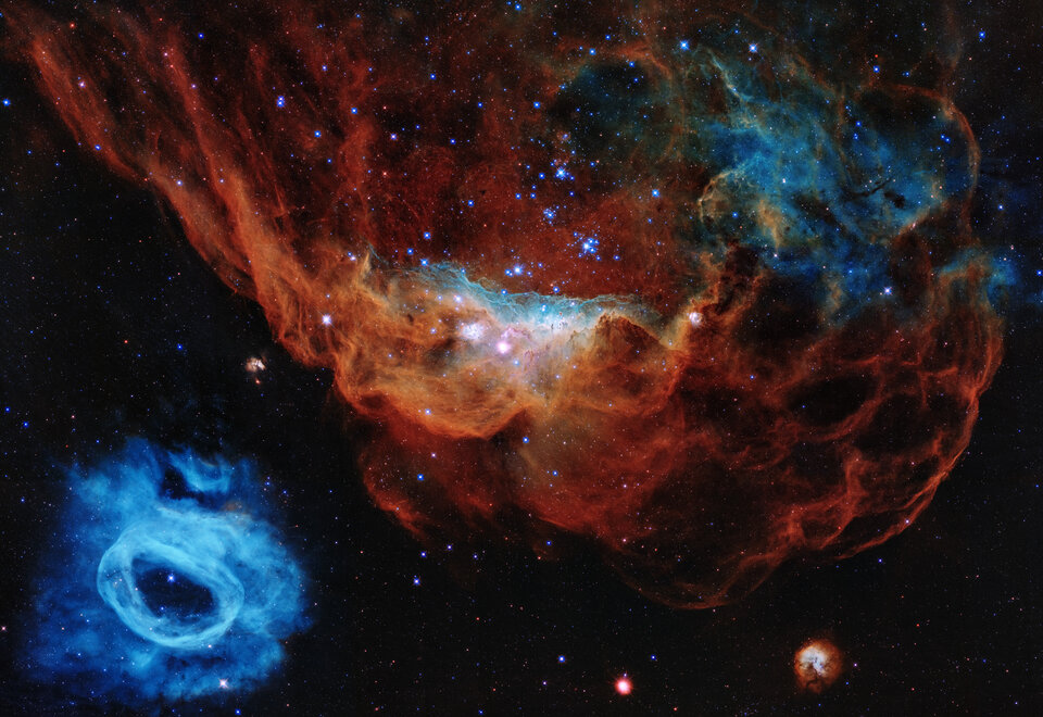 The giant star-forming nebula NGC 2014, taking centre stage in Hubble's 30th anniversary image, and its neighbour NGC 2020 in the lower left corner.